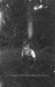 In the garden