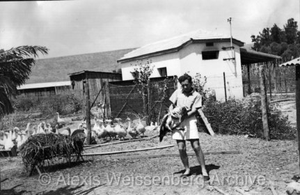 Kibbutz Degania 2