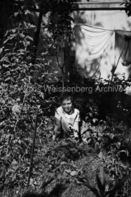 In the garden